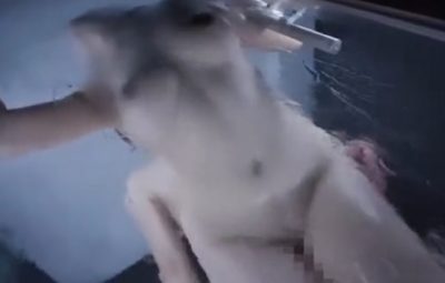 Thumbnail of related posts 163