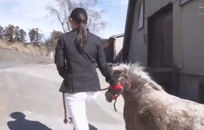 Thumbnail of related posts 071